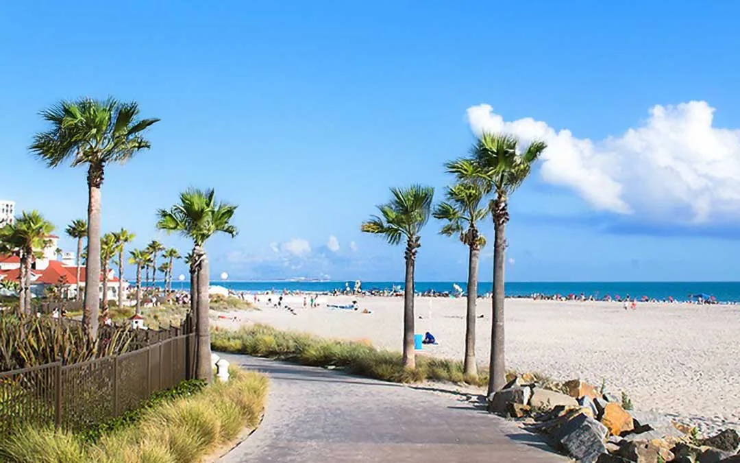 Palm-lined beach path with blue sky and ocean, service area for a Plumber in Oak View, CA.