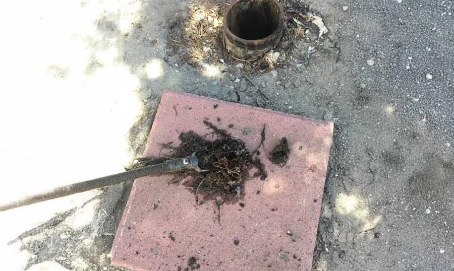 Residential Drain Cleaning